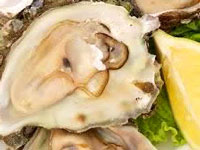 oysterknysna.jpg